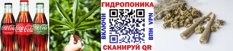 Canna-Cookies марихуана  Вязники 