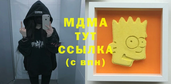 spice Богородск