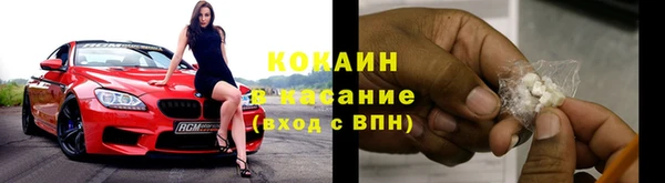 spice Богородск