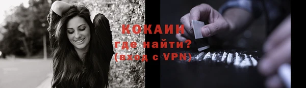 амф Богданович