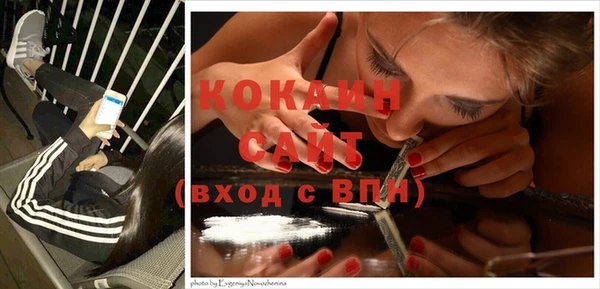 spice Богородск